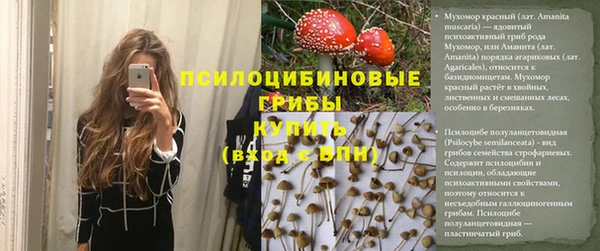каннабис Арсеньев