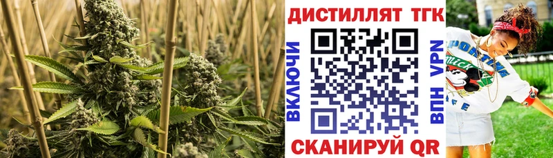 Дистиллят ТГК Wax Гвардейск