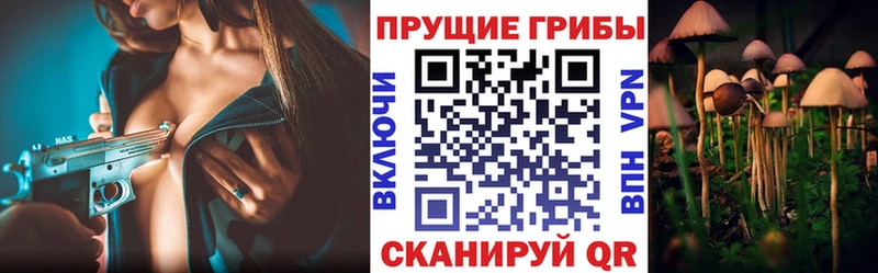 Псилоцибиновые грибы Cubensis  OMG ссылки  Гвардейск 